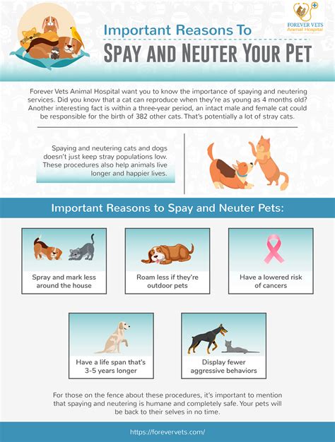 Important Reasons To Spay And Neuter Your Pet Forever Vets