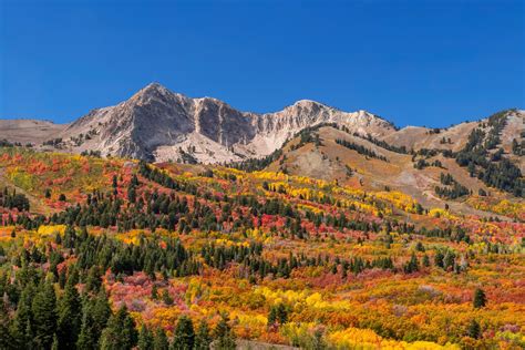[Updated for 2022] Your Salt Lake City Fall Bucket List - Ashley Lindsey