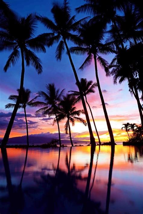 Maui Sunset Wonderful Places Great Places Amazing Places Beautiful Places Rainbow Sunset