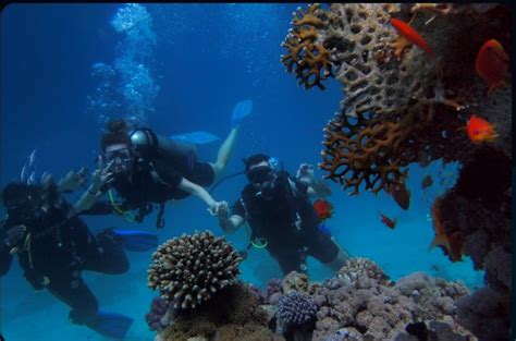 Best Places For Scuba Diving In Goa All About Goa