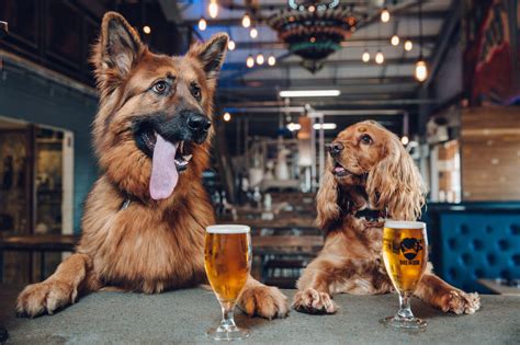 Brewdog Announces Dog Days American Craft Beer
