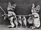 How much are Wikipedia's public domain photos worth? - The IPKat