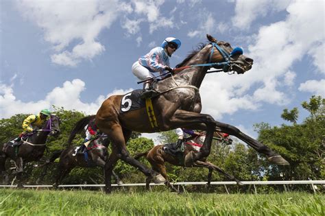 Important Horse Races 2024 Addy Lizzie