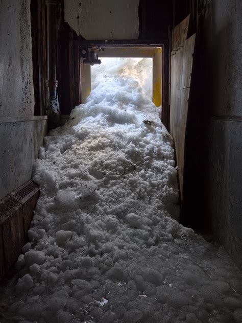 beyond crowds - Perhaps inspired by Taylor, St Petersburger and...