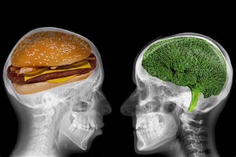 junk food and its negative impact on your brain exploring your mind