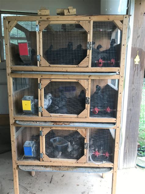 Quail Pen Quail Coop Raising Quail Raising Rabbits Diy Chicken Coop