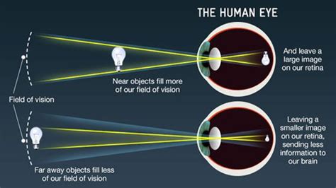 How Do Telescopes Let Us See So Far Into Space Human Eye Eye