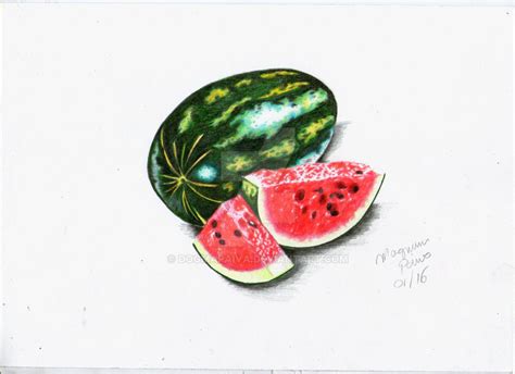 Watermelon 100 Crayons By Dogmapaiva On Deviantart