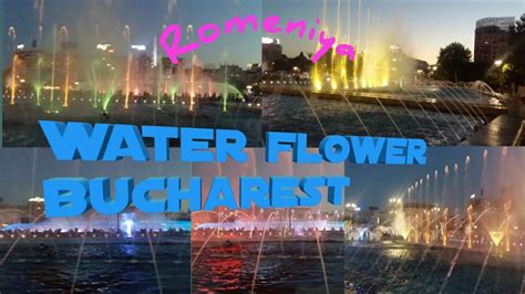 Wonderfull Water Flower YouTube