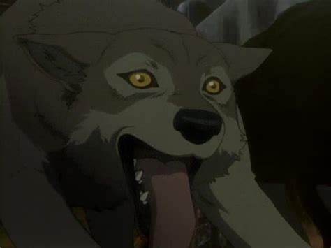 Toboe Wolfs Rain Image 15031920 Fanpop