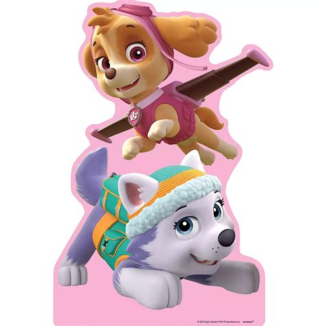 Everest Paw Patrol Snow And Ice Everest Is Ready To Go