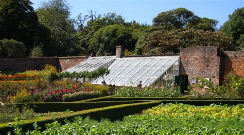 Twenty Five Years Ago The Lost Gardens Of Heligan Were Rediscovered