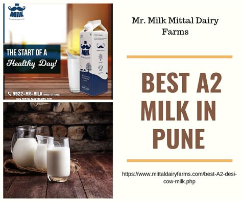 Mittal Happy Cows Dairy Farms Llp Why A2 Milk In Pune Is Worth The Hype