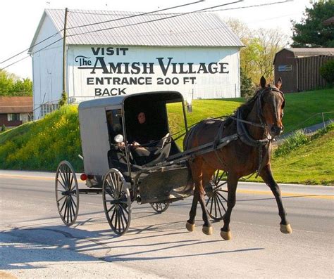 21 Best Travel Pa Amish Country Images On Pinterest Lancaster County