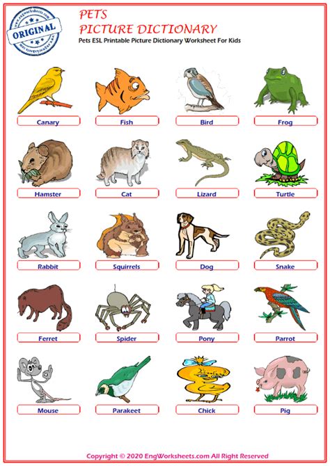 Pets Printable English Esl Vocabulary Worksheets Engworksheets Kids