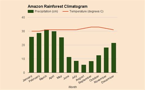 Climate And Weather Amazon Rainforest