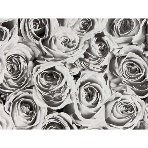 Fablon Roses White Grey Adhesive Film Set Of 2 Tfab12855 The Home Depot