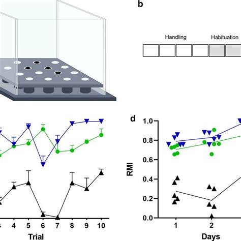 Performance Of Young And Aged Rats In Spatial Learning And Memory Task