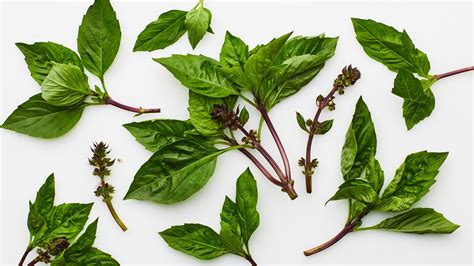 What Is Thai Basil The Spicy Anise Y Herb Thats A Vital Addition To