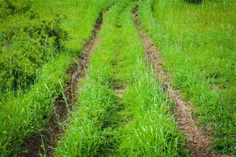 Landscape Dirt Road On Green Grass Stock Photo Image Of Road Soil