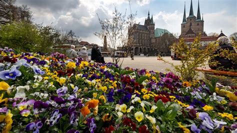 Erfurt blüht auf und zeigt inspirierende gärtnerische highlights. Erfurt: Bundesgartenschau öffnet für Besucher