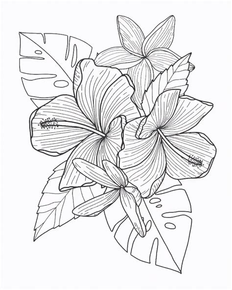 How To Get Coloring Pages On Procreate - Antionette Heintz's Coloring Pages