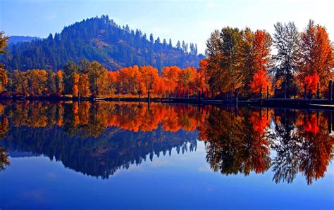Fall Colors St Joe River Idaho Rebecca Tifft Flickr