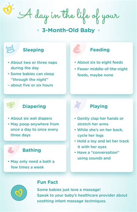 3 Month Old Baby Milestones Weight And Sleep Schedule Pampers