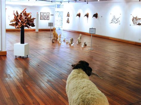 12 Must See Art Galleries In Joburg