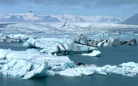 Arctic Melting Affecting The Arctic Ecosystem In 2020 Ecosystems