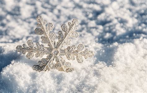 Wallpaper Winter Snow White Christmas Snowflake Winter Snow