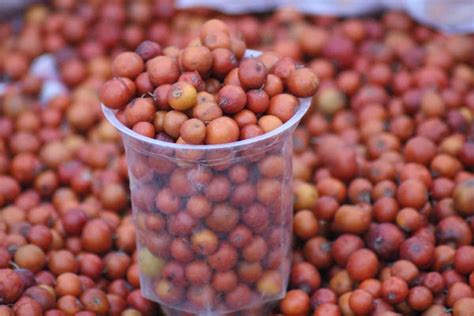 How To Grow Jujube From Seed To Harvest Check How This Guide Helps