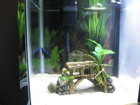 We did not find results for: Aquarium Design Homemade - Homemade Ftempo