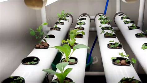 Hydroponicshydroponichydroponics For Beginnershydroponic System