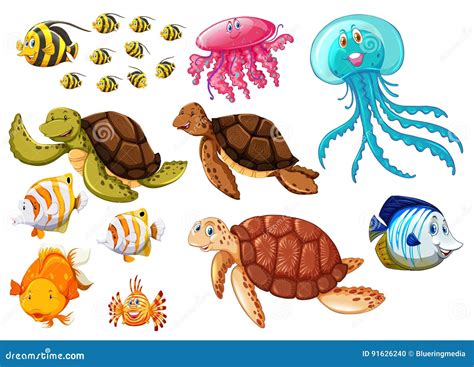 Different Types Of Sea Animals Stock Vector Illustration Of Exotic