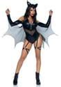 Sexy Midnight Bat Women S Costume