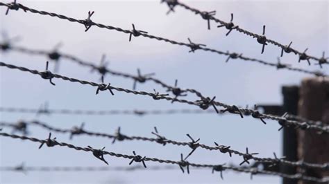 Barbed Wire Fence，Barbed Wire Fencing Manufacturer - Dongfu