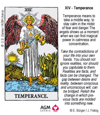 The temperance card is the most zen card of the tarot and one of the most spiritual. Temperance | Divine tarot, Tarot meanings, Tarot card meanings