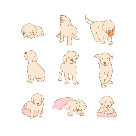 Cute Golden Retriever Puppy Characters Collection Hand Drawn Style