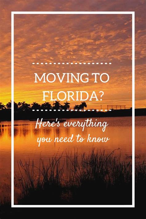 Moving To Florida Heres Everything You Need To Know Moving To