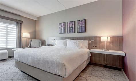 Hilton Garden Inn Torontobrampton West Hotel Rooms