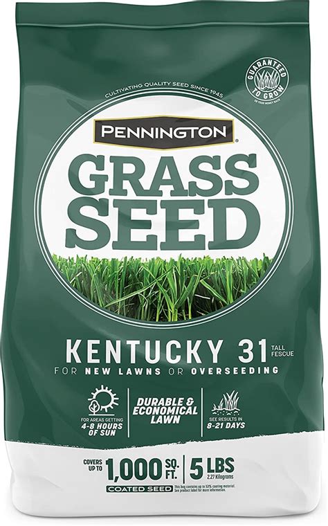 Pennington Kentucky Tall Fescue Grass Seed Lb Walmart Com