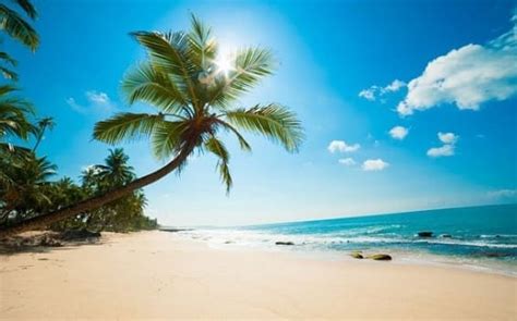 Tropical Beach Pictures Hubpages