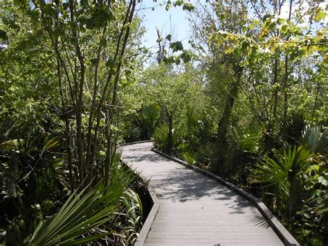 Jean Lafitte National Historical Park And Preserve Is Increasing Access