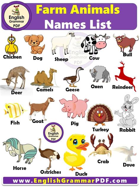 Farm Animals Names List With Pictures Definition And Examples You May