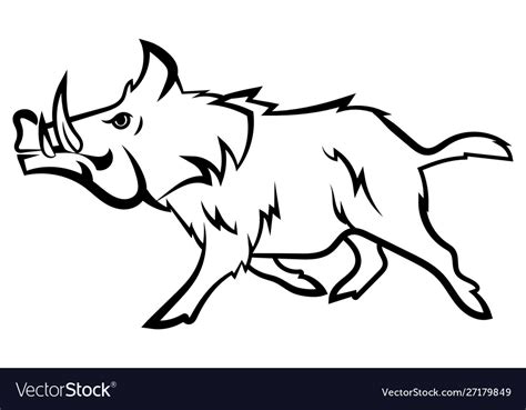 Running Wild Boar Black And White Royalty Free Vector Image