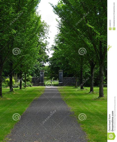 Tree Lined Path In Lush Park Stock Image Image Of Scene Lined 24002121