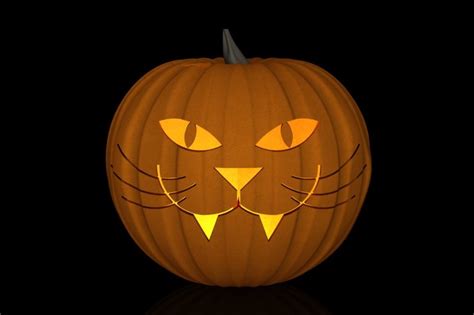 Cat Pumpkin Carving Solidworks 3d Cad Model Grabcad
