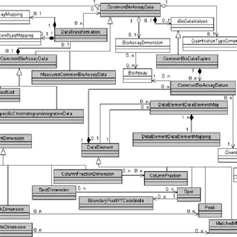 Uml Model Of Representative Elements Of The Commonbioassaydata Package