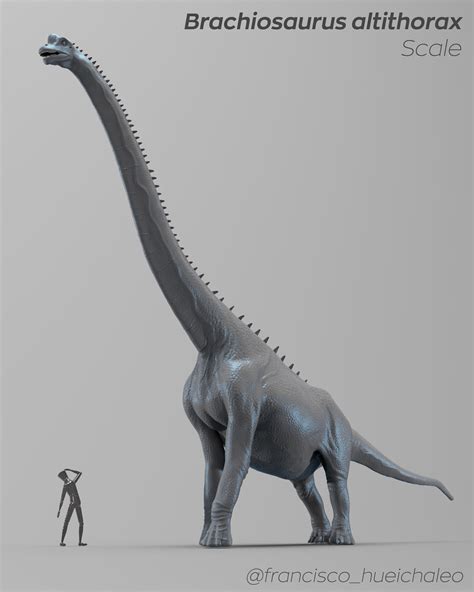 Artstation Brachiosaurus Altithorax Scale